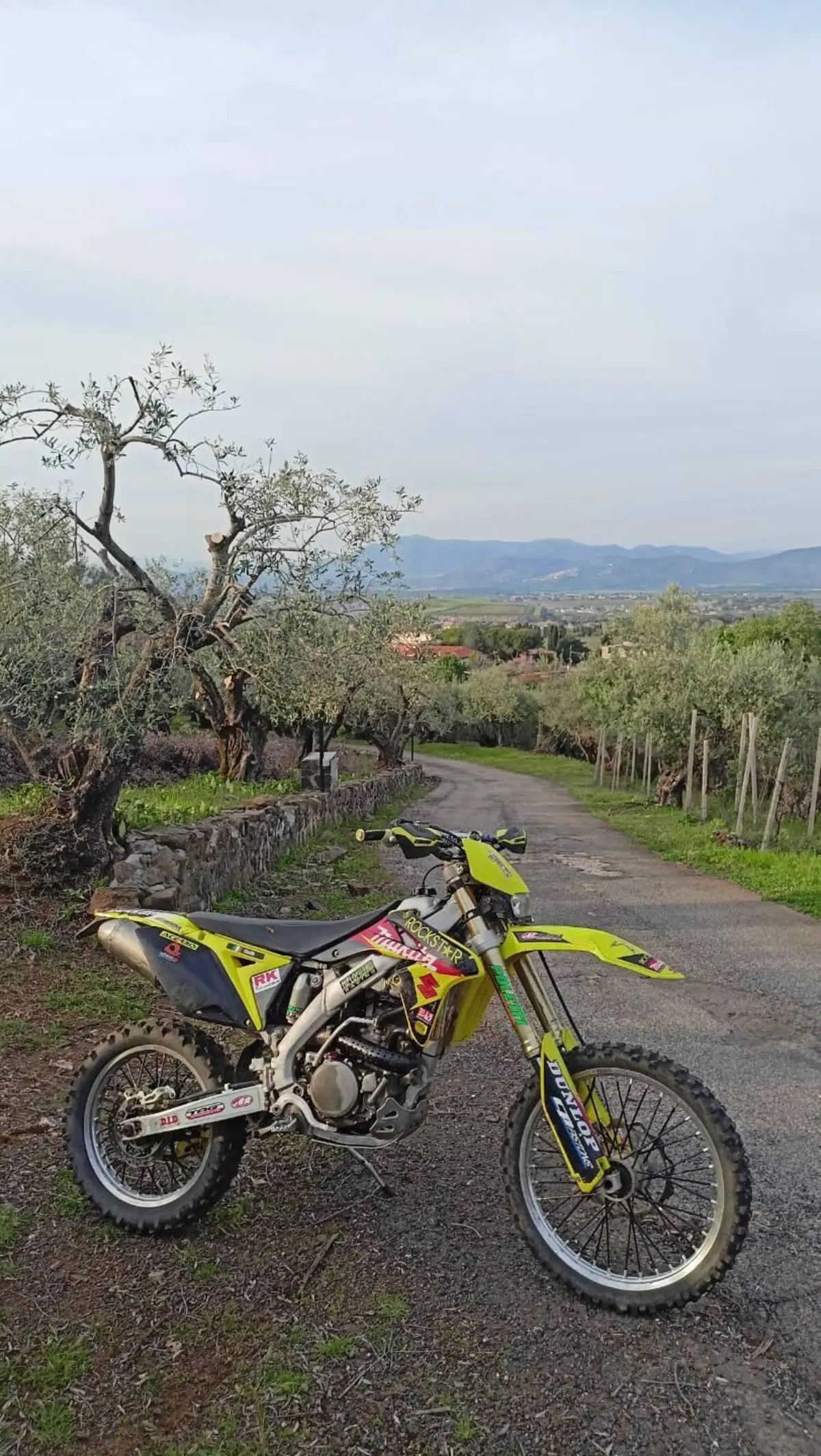 Suzuki RM-Z 250 (2011 - 2012) (9)