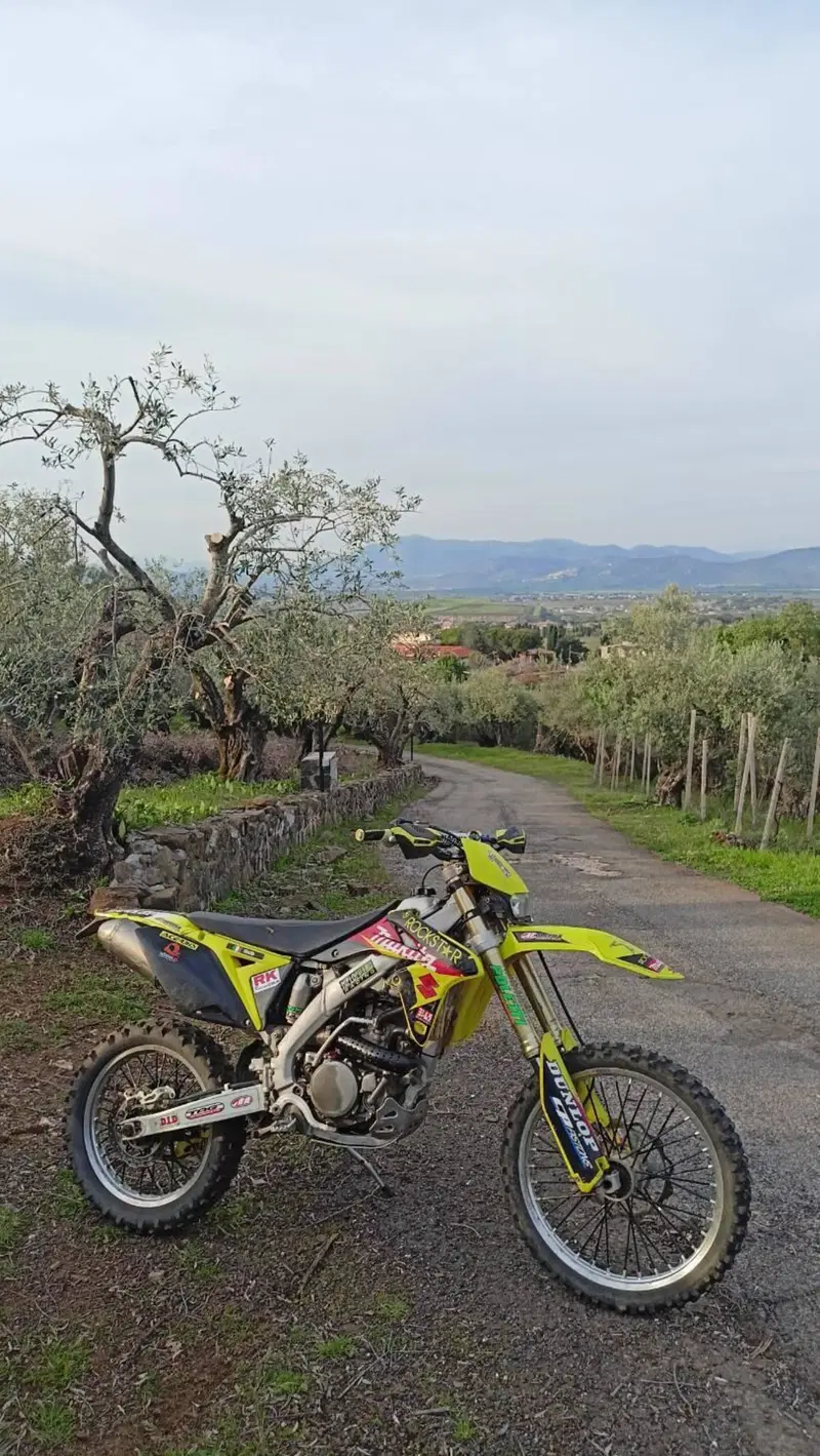 Suzuki RM-Z 250 (2011 - 2012) (9)
