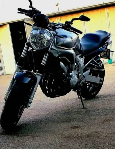Yamaha FZ6 (2004 - 07) usata