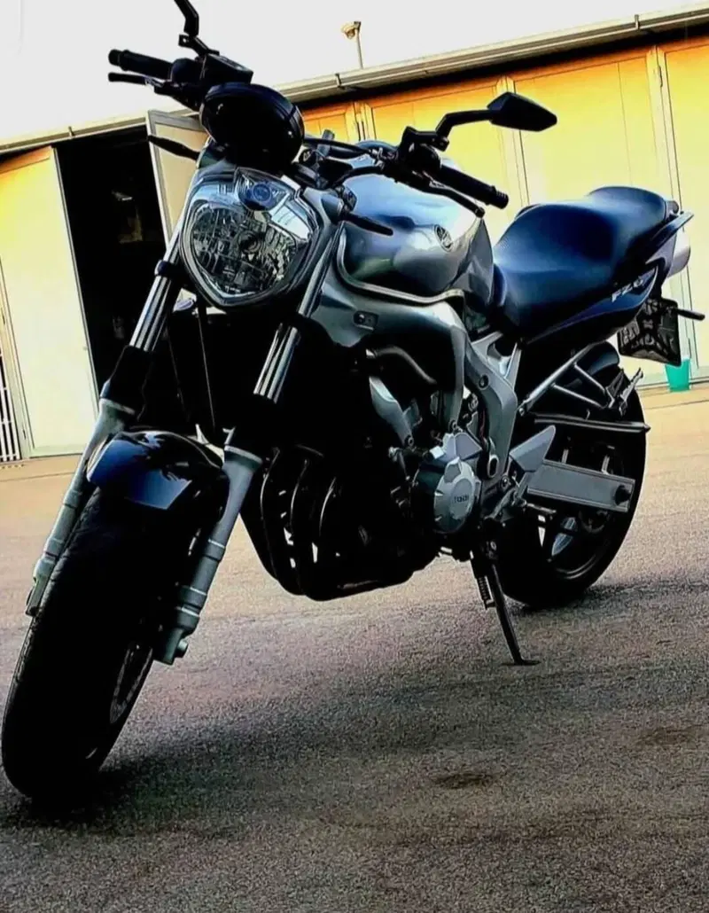 Yamaha FZ6 (2004 - 07)
