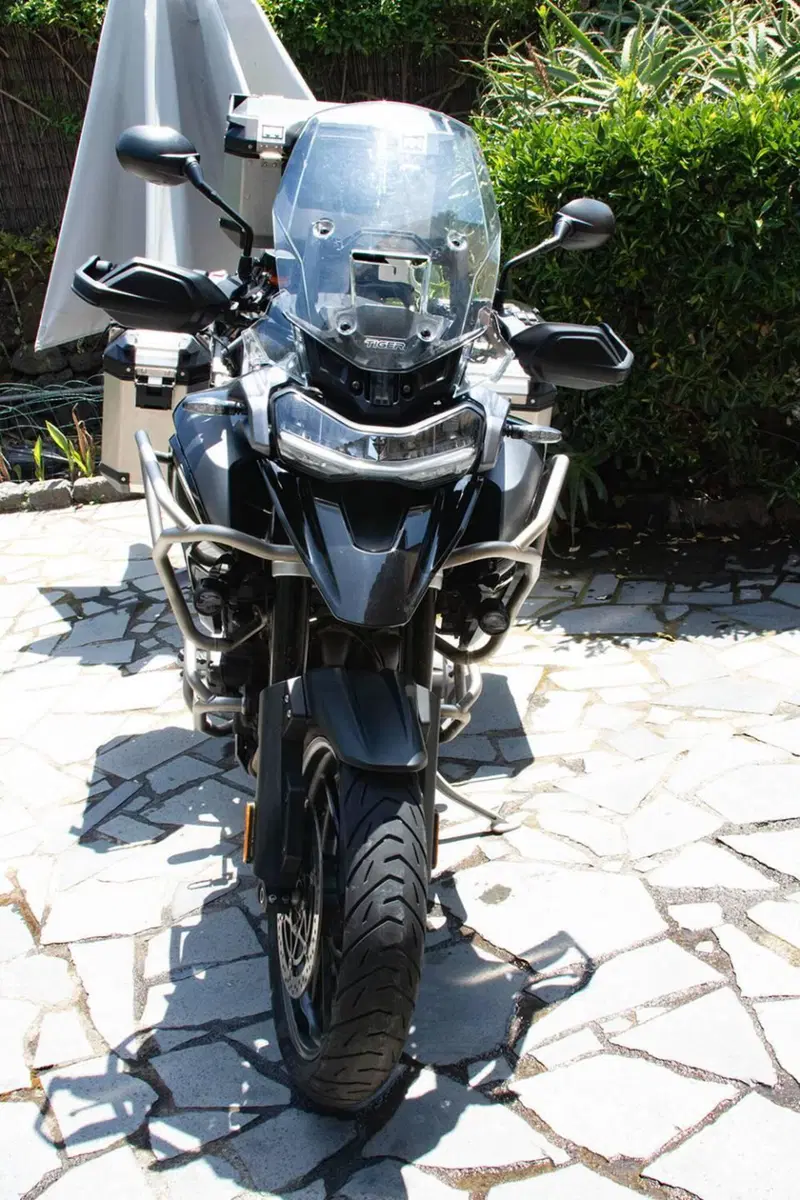 Triumph Tiger 1200 GT Pro (2022 - 23) (2)