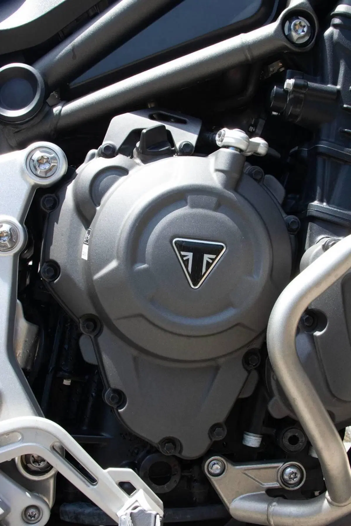 Triumph Tiger 1200 GT Pro (2022 - 23) (7)