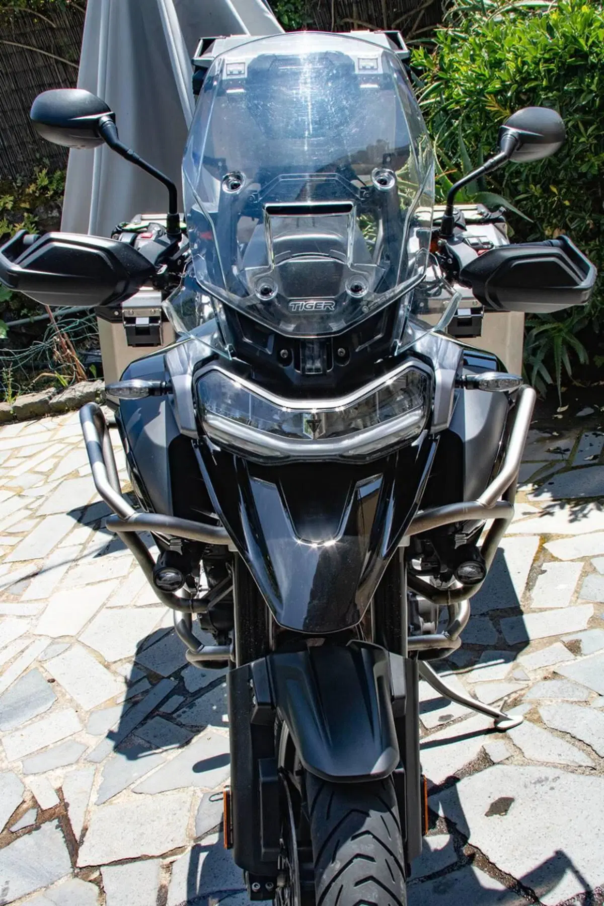 Triumph Tiger 1200 GT Pro (2022 - 23) (8)