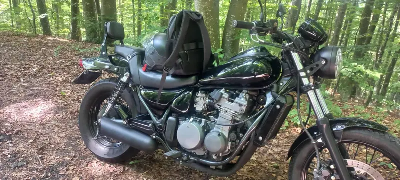 Kawasaki Eliminator 500 (2024 - 26) (3)