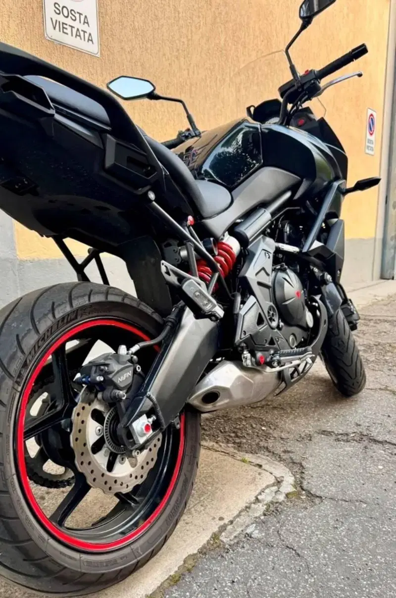 Kawasaki Versys 650 ABS (2015 - 16) (2)