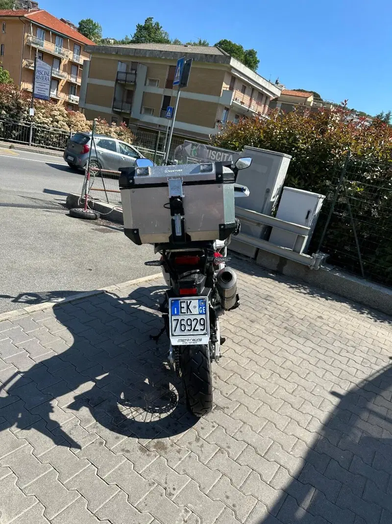 Triumph Tiger 900 Rally (2020 - 23) (4)