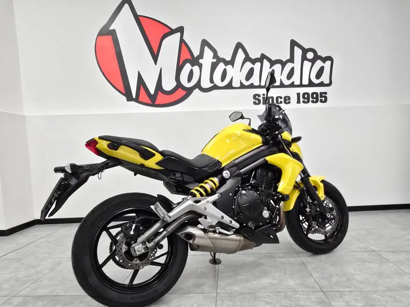 Kawasaki ER-6N (2012 - 13) (4)