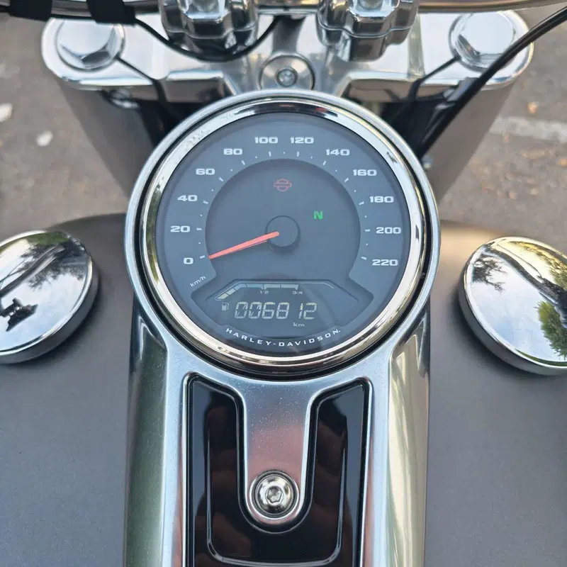 Harley-Davidson 107 Fat Boy (2017 - 20) - FLFB (8)