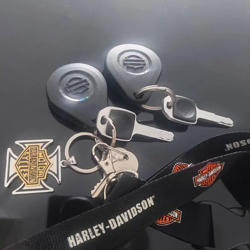 Harley-Davidson 107 Fat Boy (2017 - 20) - FLFB (13)
