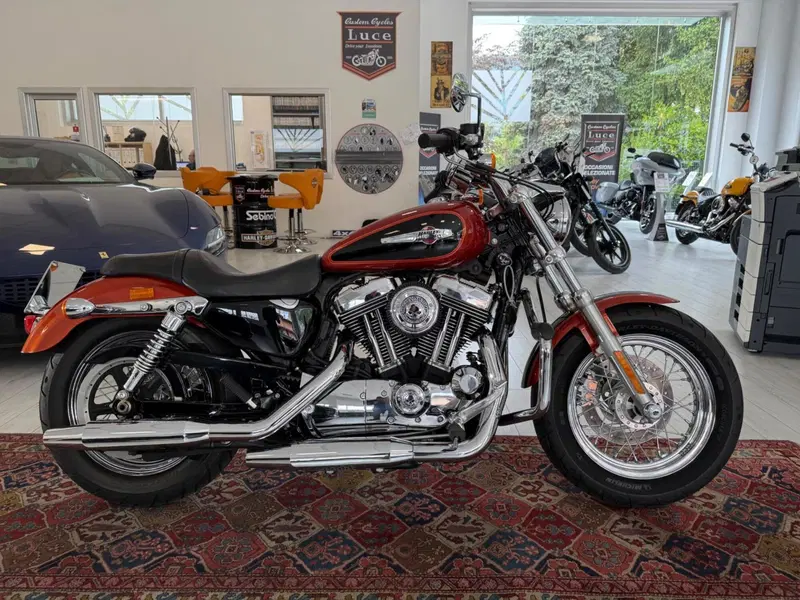 Harley-Davidson 1200 Custom (2007 - 13) - XL 1200C (2)