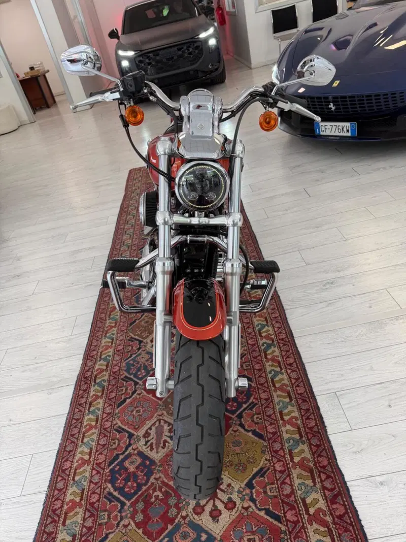 Harley-Davidson 1200 Custom (2007 - 13) - XL 1200C (4)