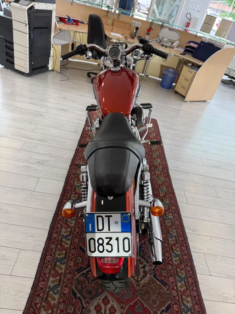 Harley-Davidson 1200 Custom (2007 - 13) - XL 1200C (5)