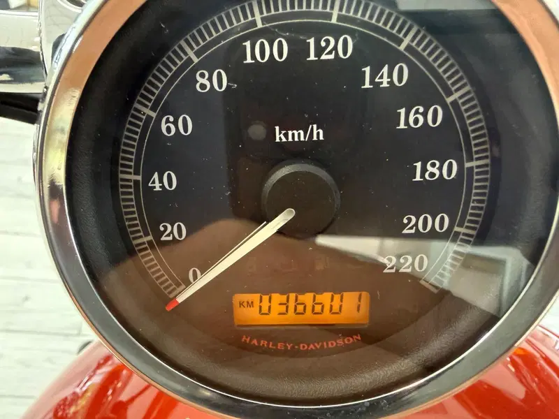 Harley-Davidson 1200 Custom (2007 - 13) - XL 1200C (9)