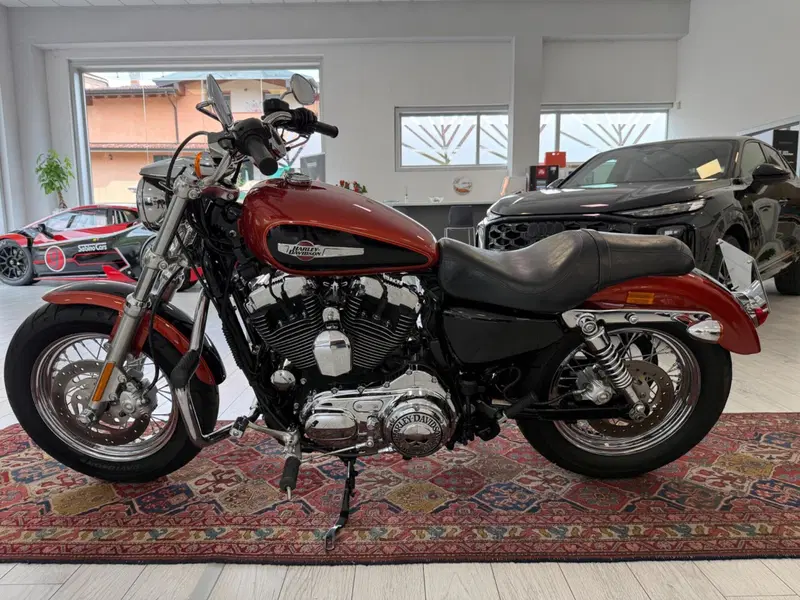 Harley-Davidson 1200 Custom (2007 - 13) - XL 1200C (3)