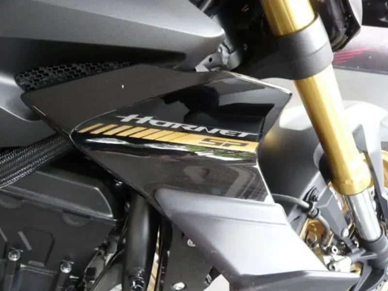 Honda CB 1000 Hornet SP (2025 - 26) (5)