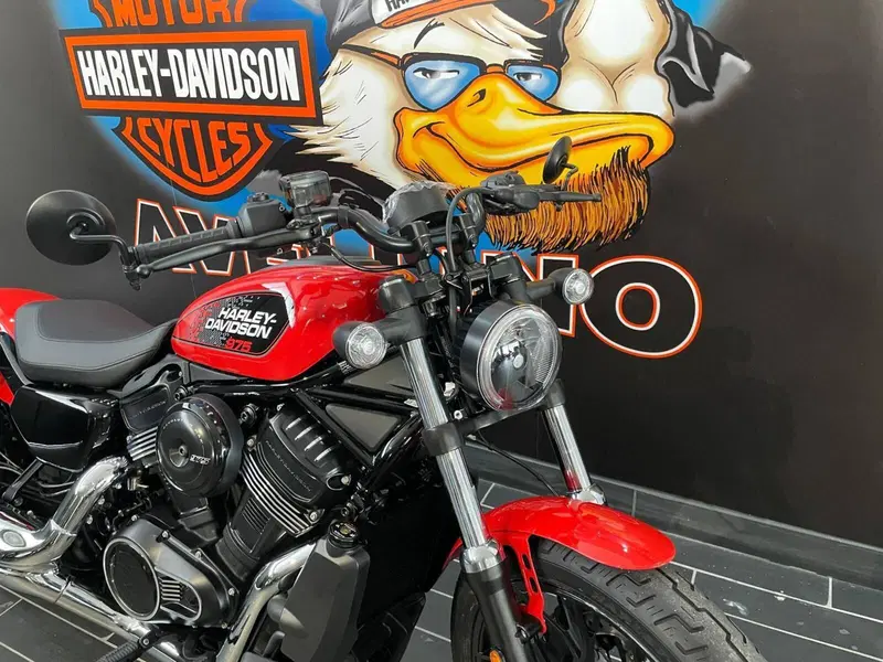 Harley-Davidson Nightster (2023 - 26) (6)