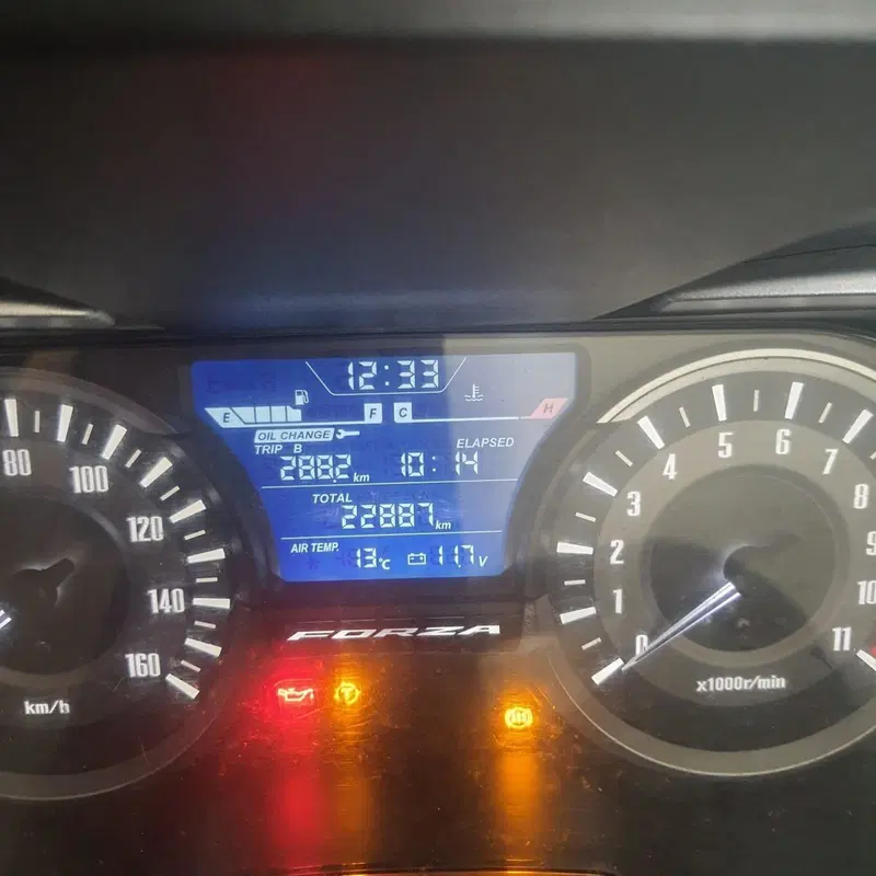 Honda Forza 300 (2019 - 20) (3)