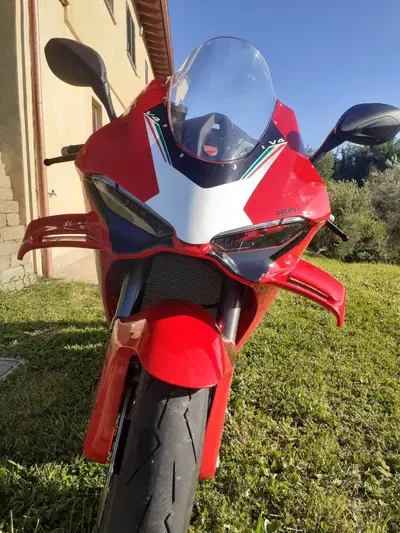 Ducati Panigale V4 (2025 - 26) usata