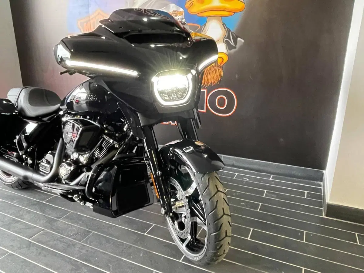 Harley-Davidson Street Glide (2024 - 26) (5)