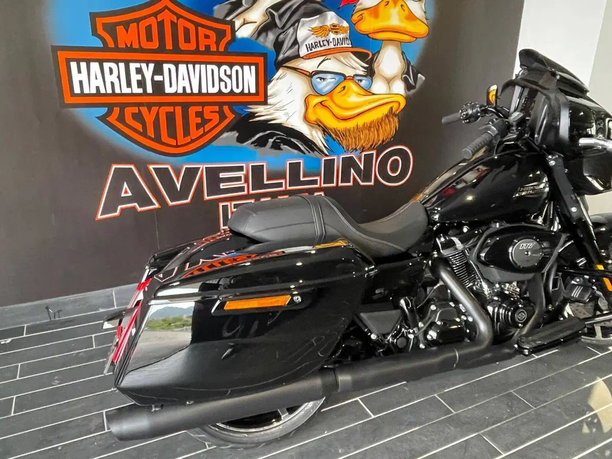 Harley-Davidson Street Glide (2024 - 26) (6)
