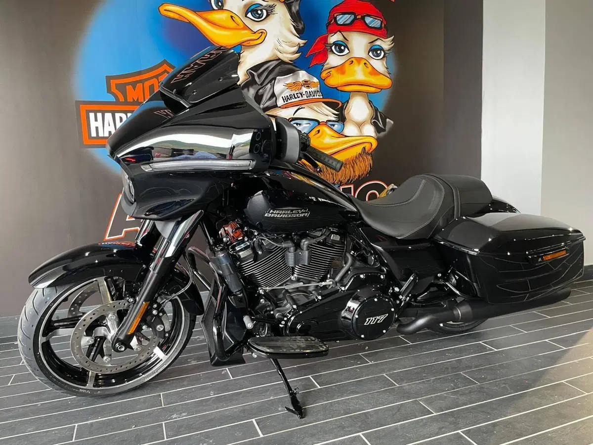 Harley-Davidson Street Glide (2024 - 26) (8)