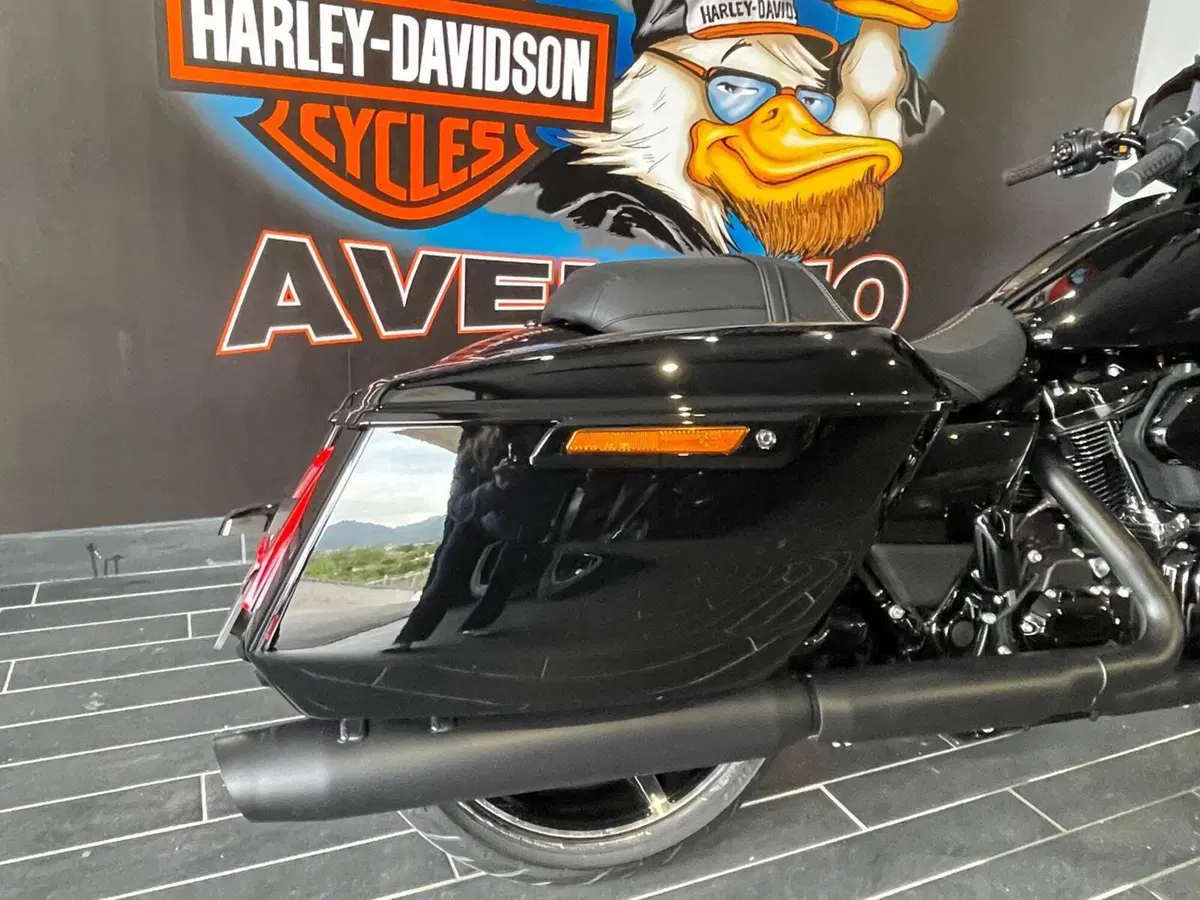 Harley-Davidson Street Glide (2024 - 26) (11)