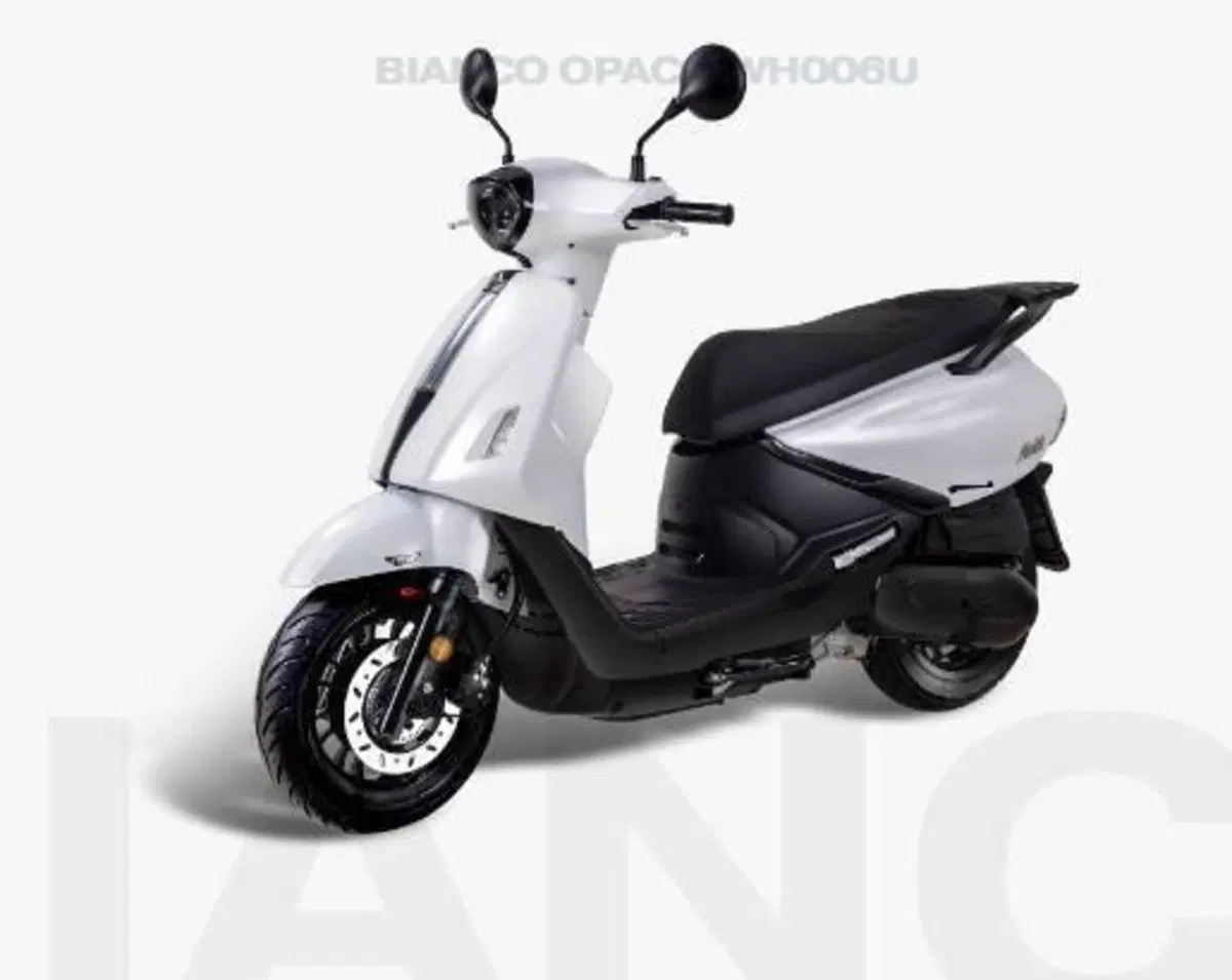 Sym Fiddle 125 (2026) (2)