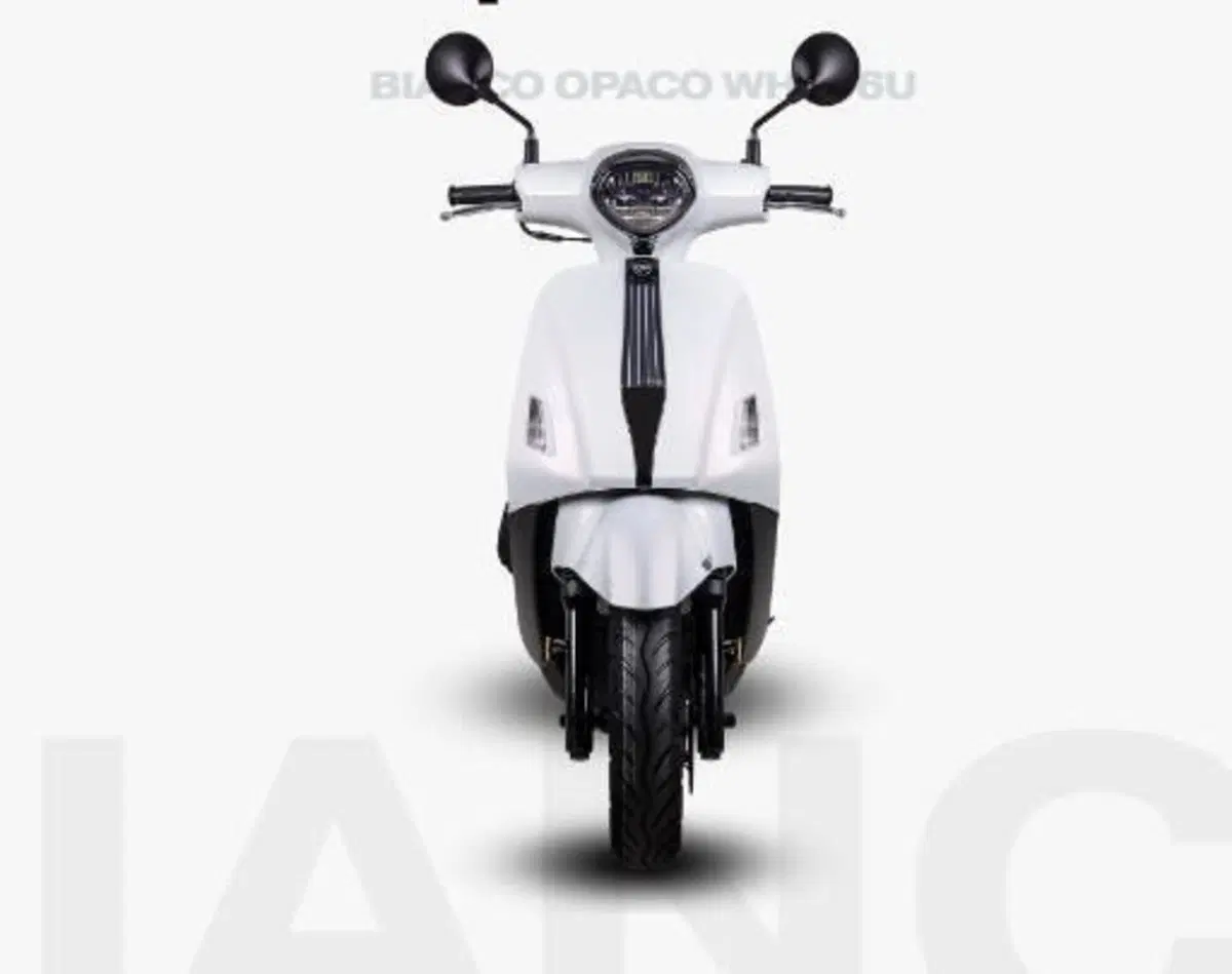 Sym Fiddle 125 (2026) (9)