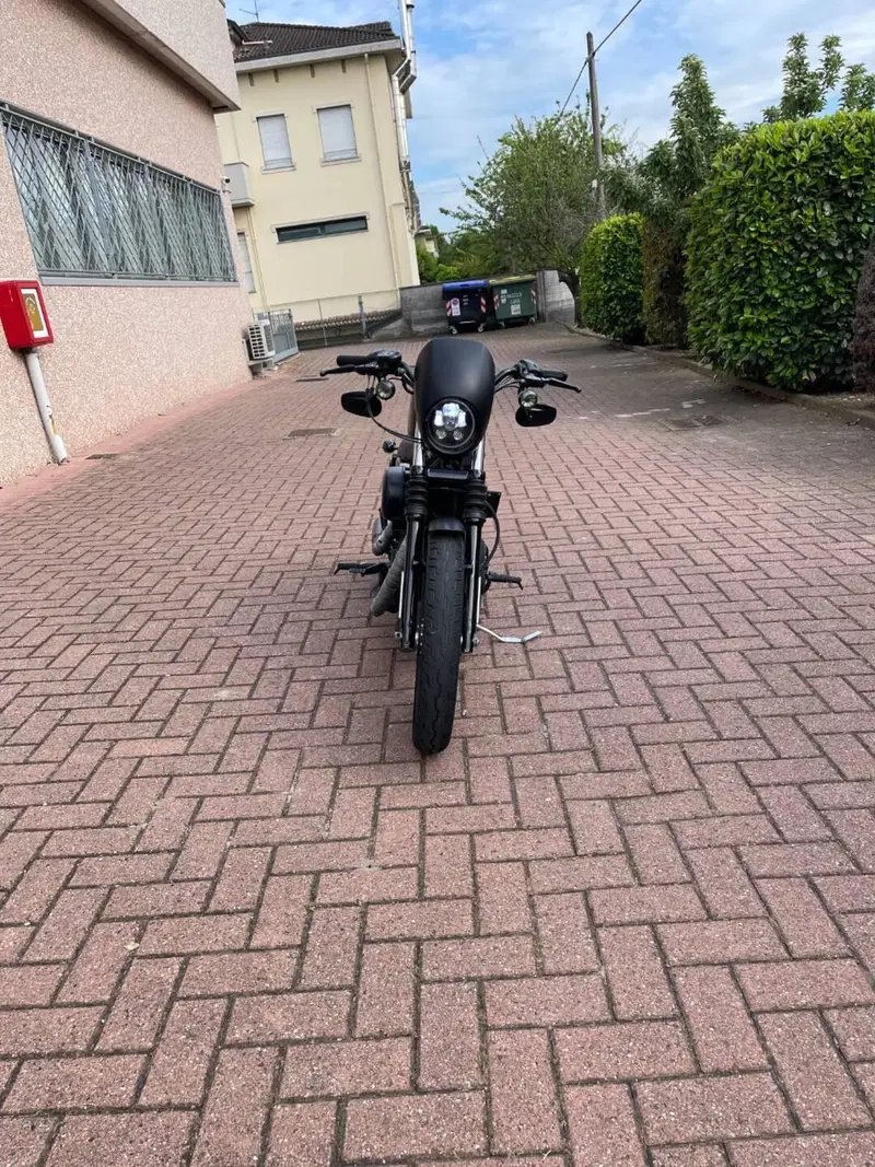 Harley-Davidson 883 Iron (2009 - 11) - XL 883N (2)