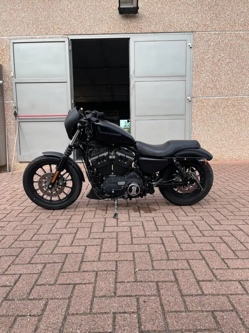 Harley-Davidson 883 Iron (2009 - 11) - XL 883N (3)