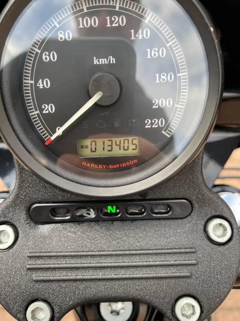 Harley-Davidson 883 Iron (2009 - 11) - XL 883N (4)