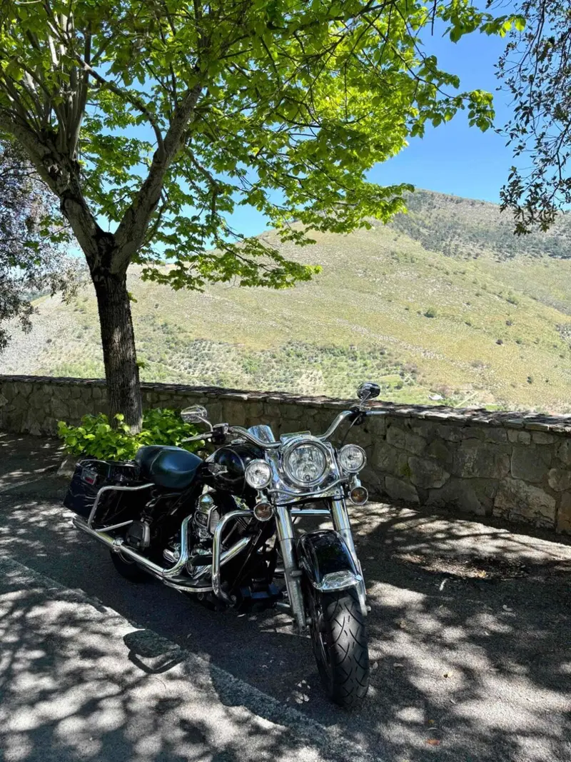 Harley-Davidson 103 Road King Classic (2014 - 16) - FLHRC (6)