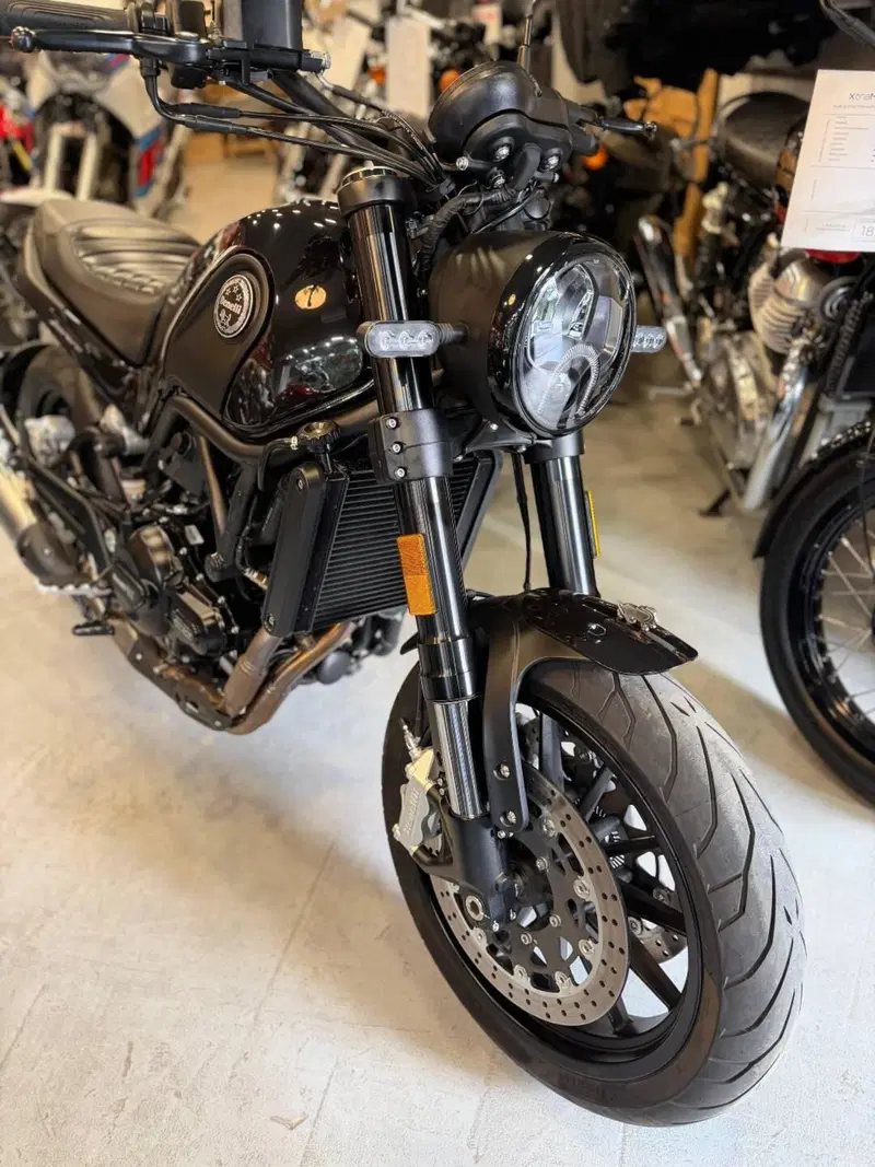 Benelli Leoncino 500 (2021 - 25) (2)