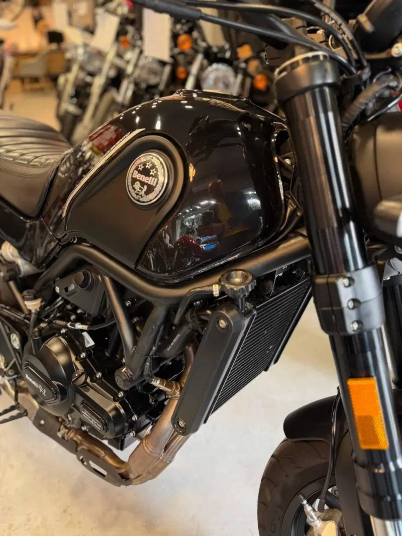 Benelli Leoncino 500 (2021 - 25) (3)