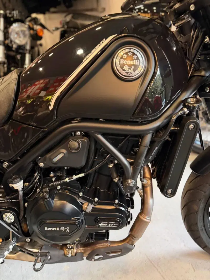Benelli Leoncino 500 (2021 - 25) (4)