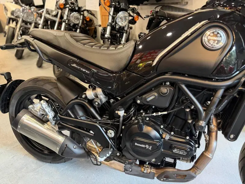 Benelli Leoncino 500 (2021 - 25) (5)