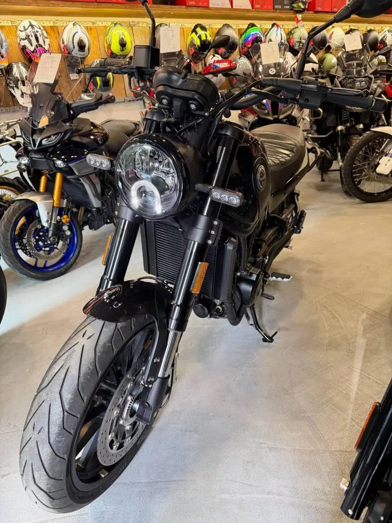 Benelli Leoncino 500 (2021 - 25) (10)