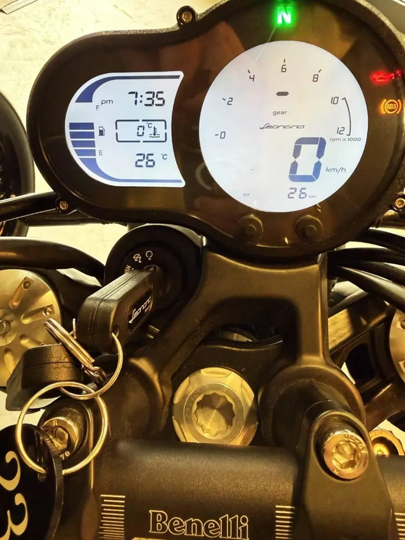 Benelli Leoncino 500 (2021 - 25) (11)