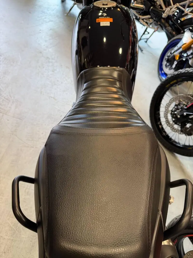 Benelli Leoncino 500 (2021 - 25) (13)