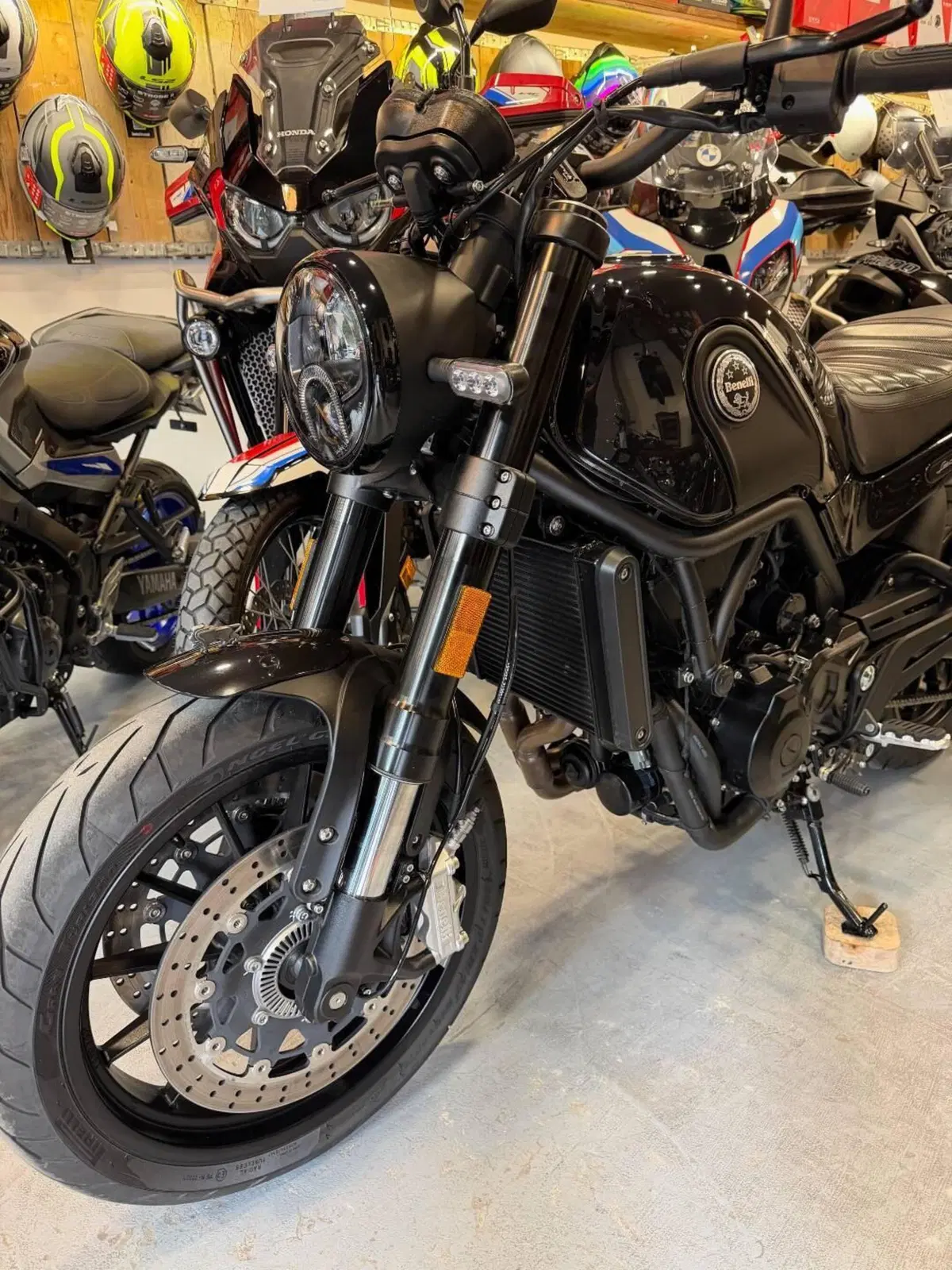Benelli Leoncino 500 (2021 - 25) (14)