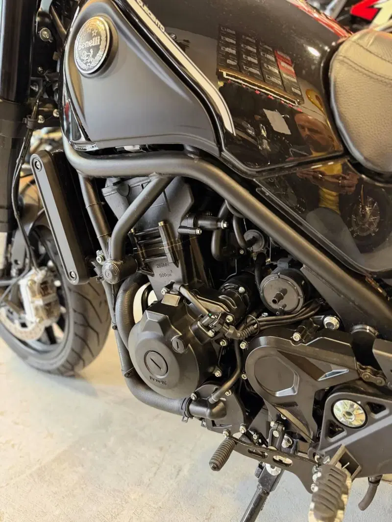 Benelli Leoncino 500 (2021 - 25) (17)