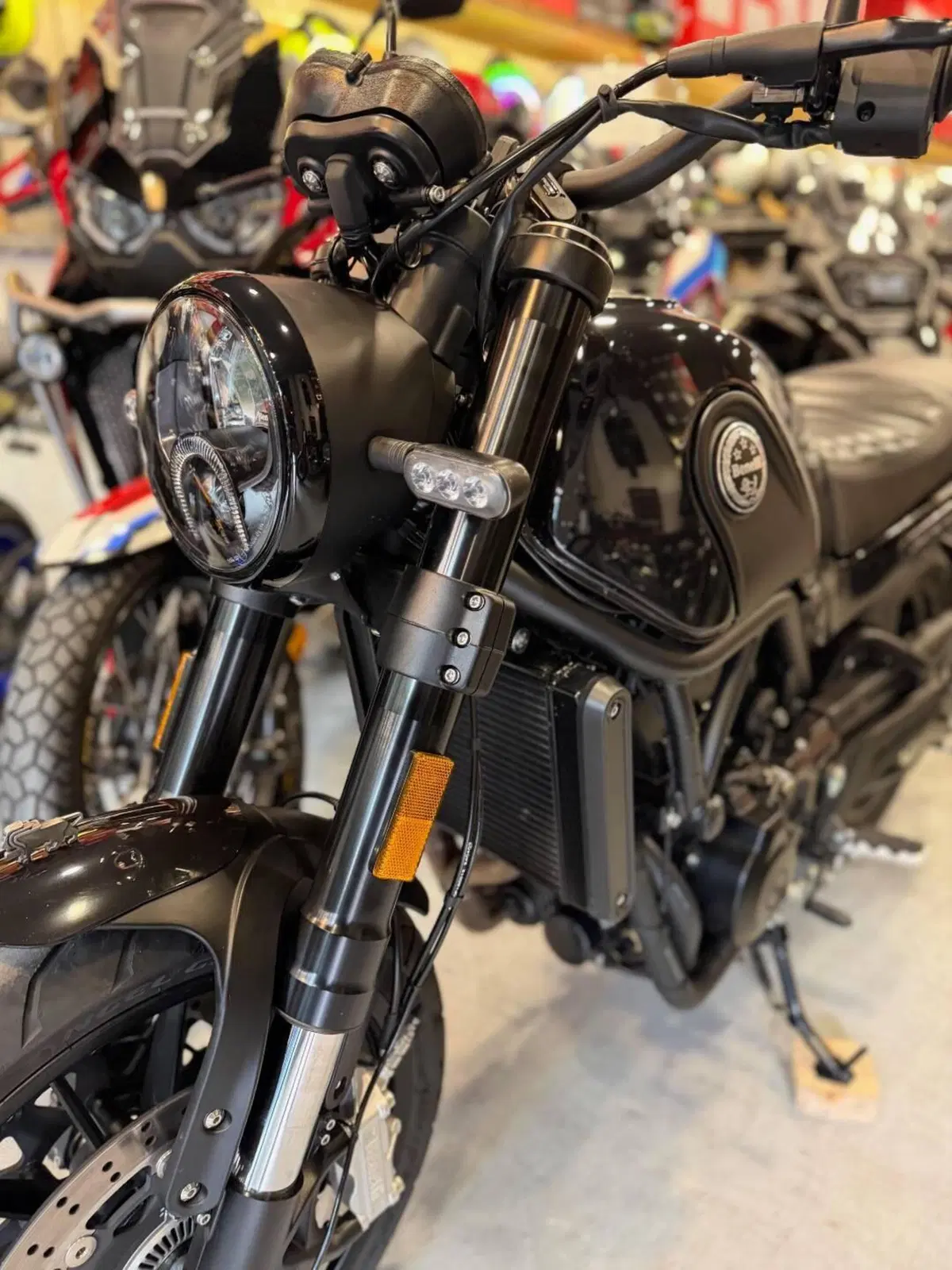 Benelli Leoncino 500 (2021 - 25) (18)