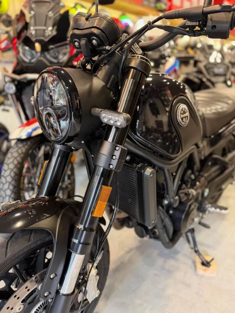 Benelli Leoncino 500 (2021 - 25) (18)