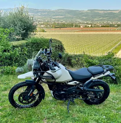 Royal Enfield Himalayan 450 (2024 - 26) usata