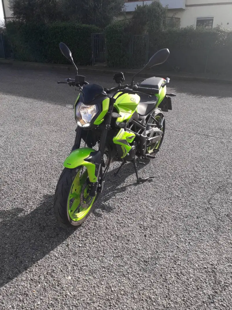 Benelli BN 125 (2021 - 25) (4)