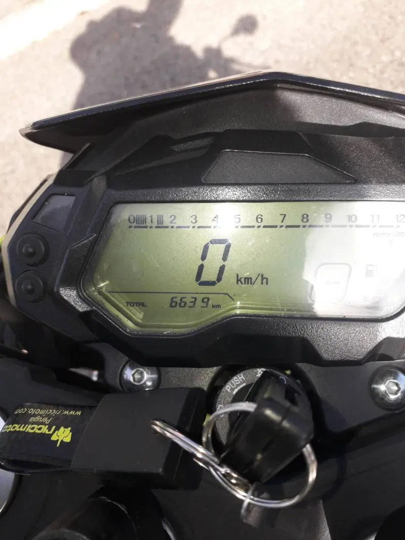 Benelli BN 125 (2021 - 25) (6)