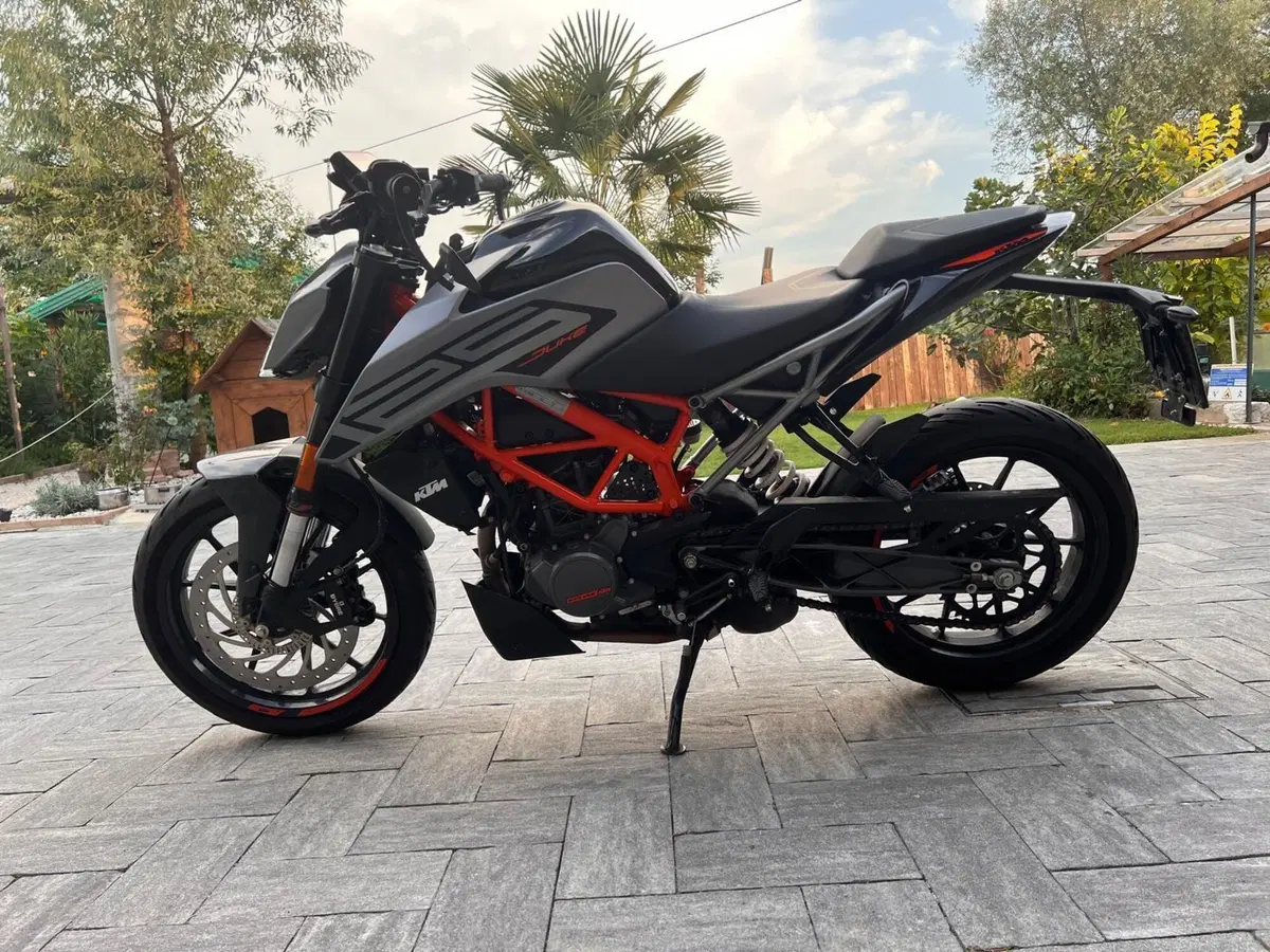 KTM 125 Duke (2024 - 25) (4)