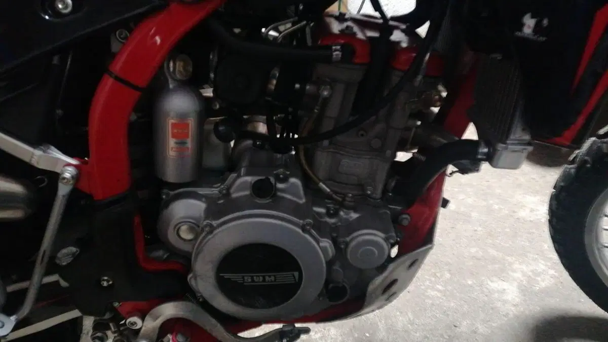 Swm RS 300 R (2017 - 20) (6)