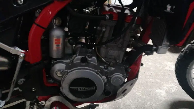 Swm RS 300 R (2017 - 20) (6)