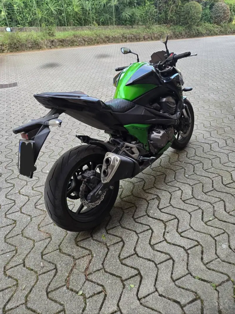 Kawasaki Z 800 (2012 - 13) (4)